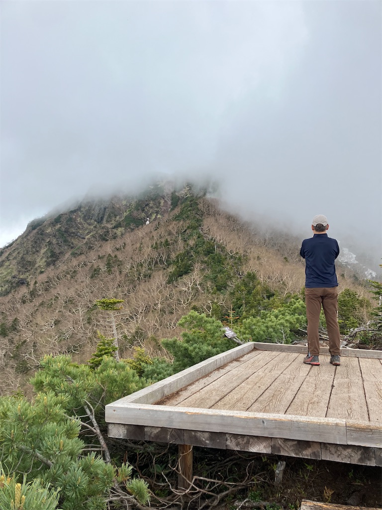 f:id:amefuri5kumanoko:20240618200542j:image