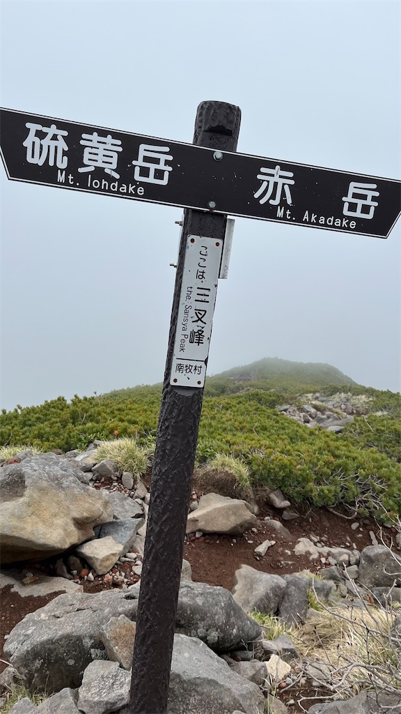 f:id:amefuri5kumanoko:20240618200557j:image