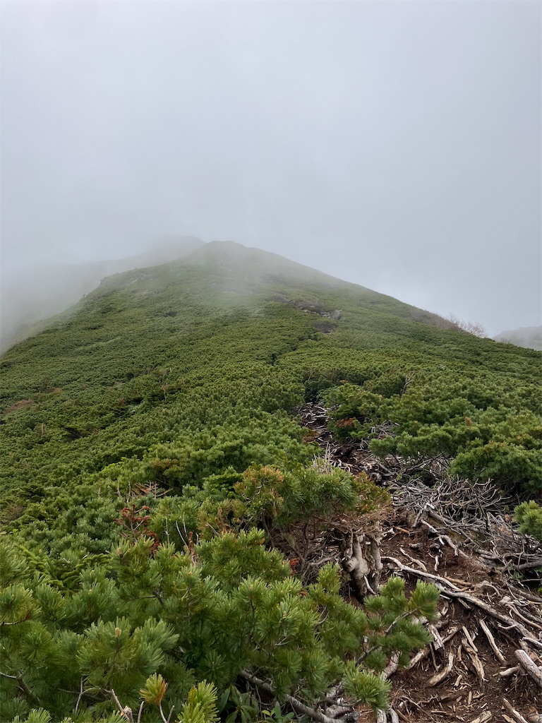 f:id:amefuri5kumanoko:20240618200611j:image