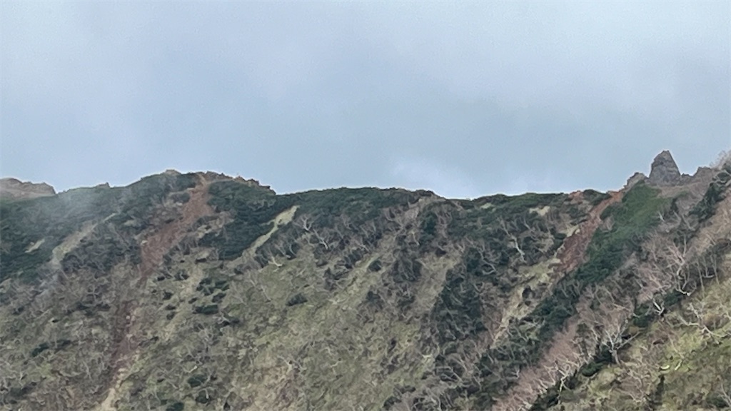 f:id:amefuri5kumanoko:20240618200614j:image