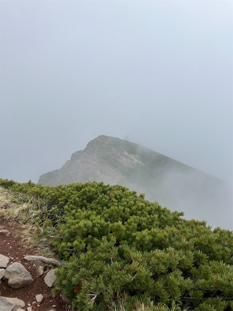 f:id:amefuri5kumanoko:20240618200740j:image