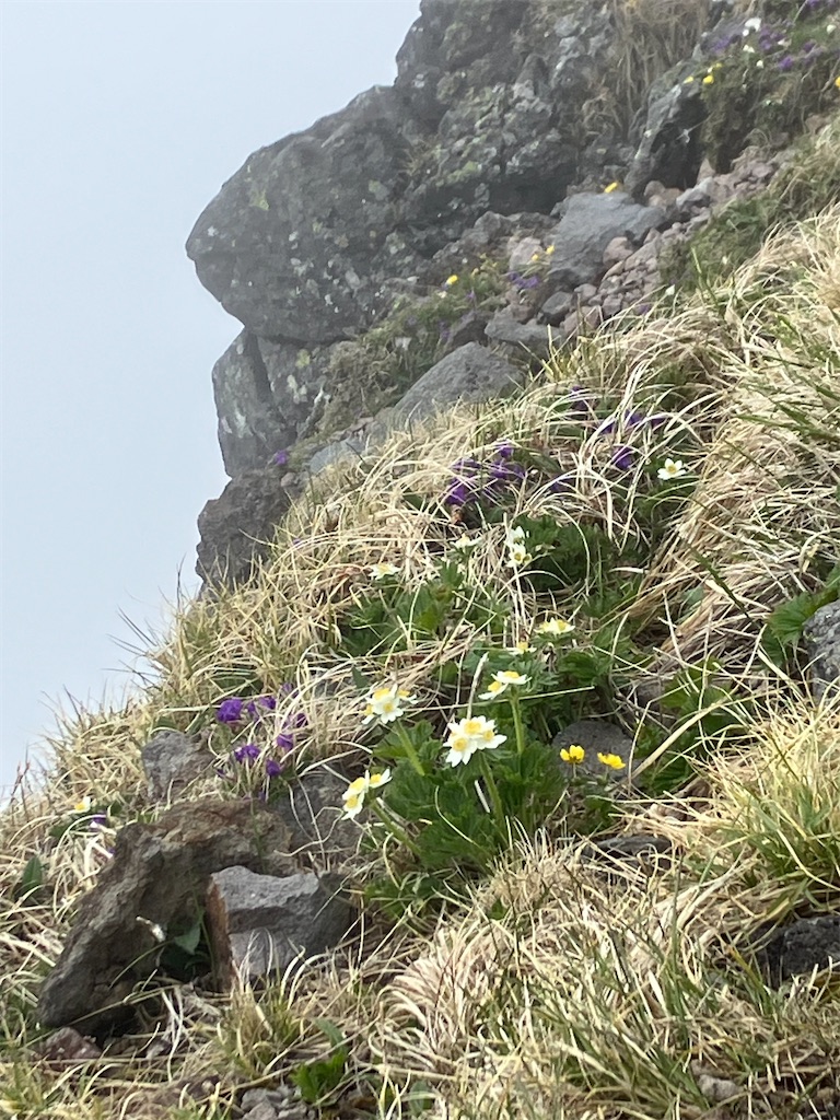 f:id:amefuri5kumanoko:20240618200743j:image