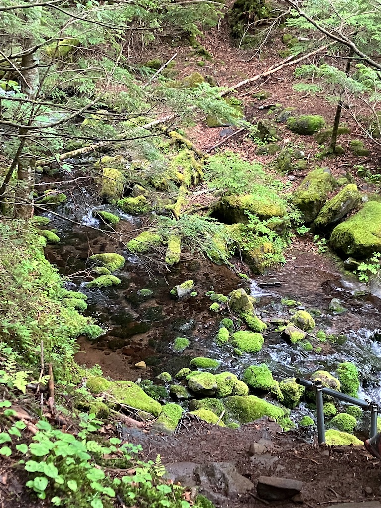 f:id:amefuri5kumanoko:20240618201023j:image