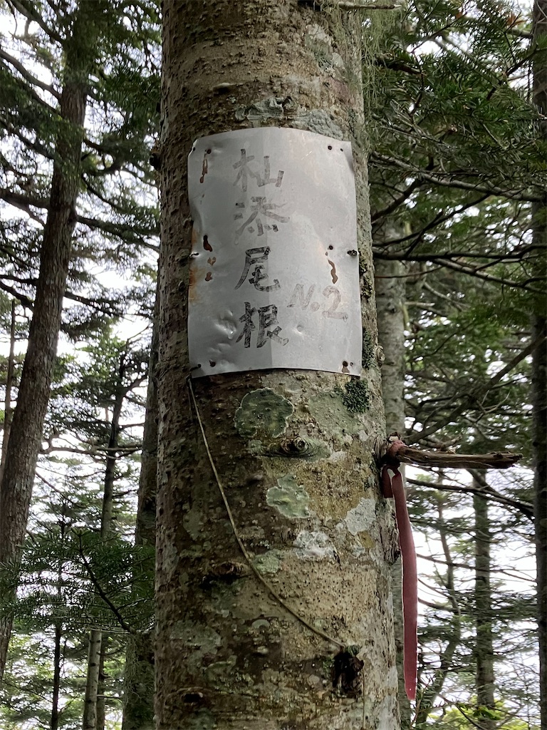 f:id:amefuri5kumanoko:20240618201045j:image