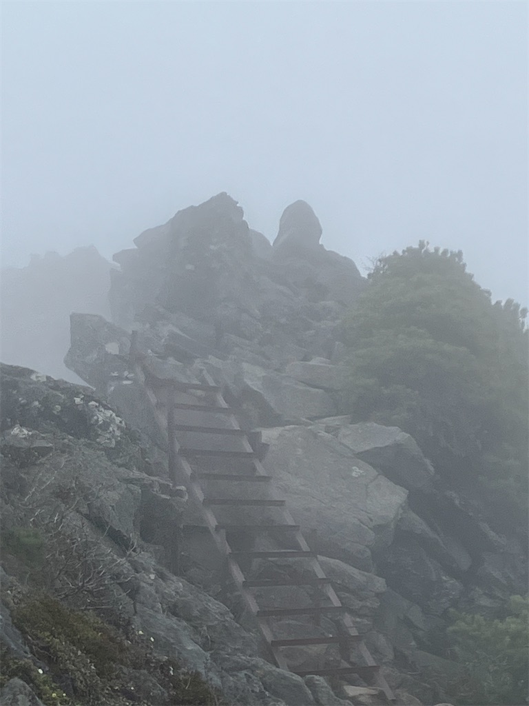 f:id:amefuri5kumanoko:20240618201055j:image