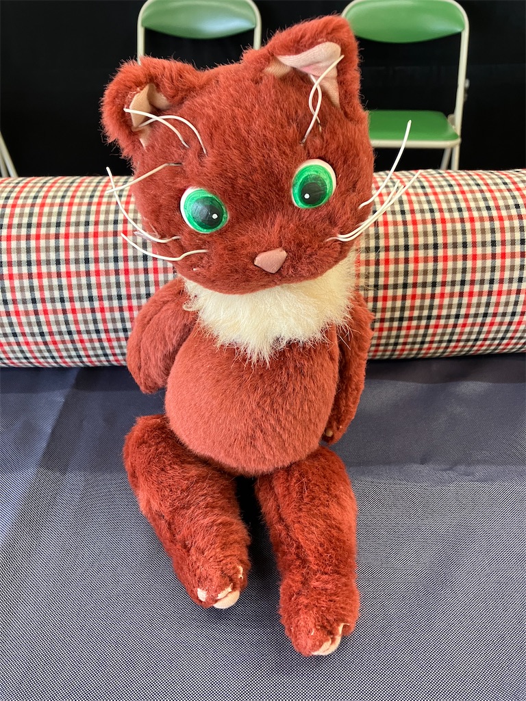 f:id:amefuri5kumanoko:20240801150653j:image f:id:amefuri5kumanoko:20240801150653j:image