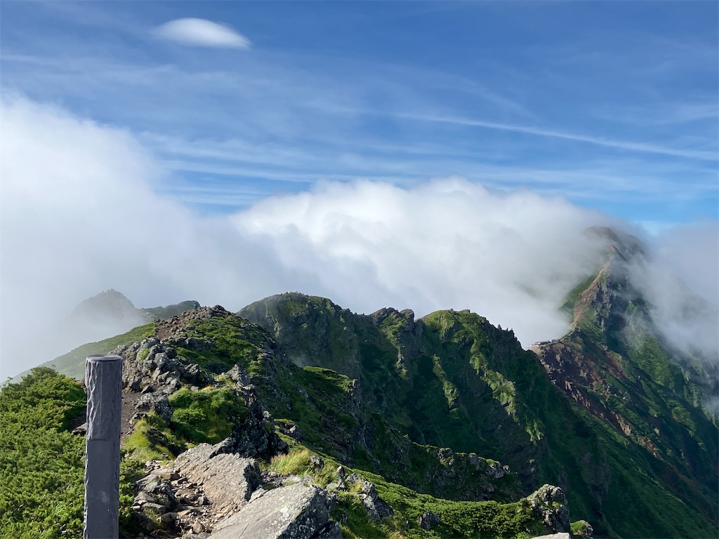 f:id:amefuri5kumanoko:20240807084431j:image