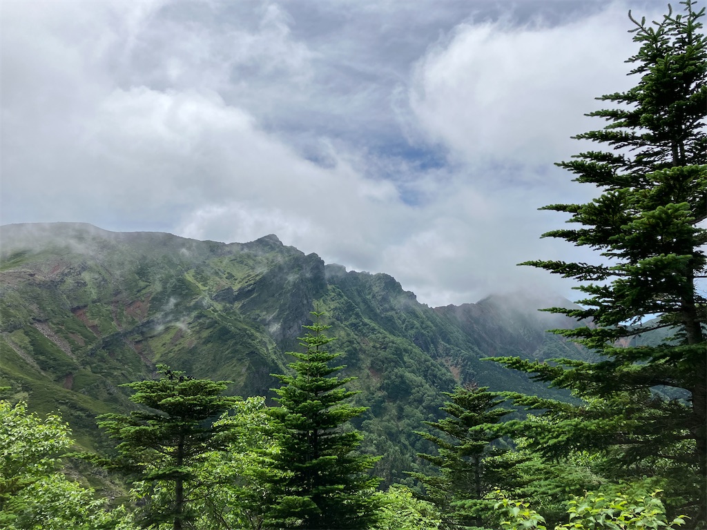 f:id:amefuri5kumanoko:20240807084725j:image