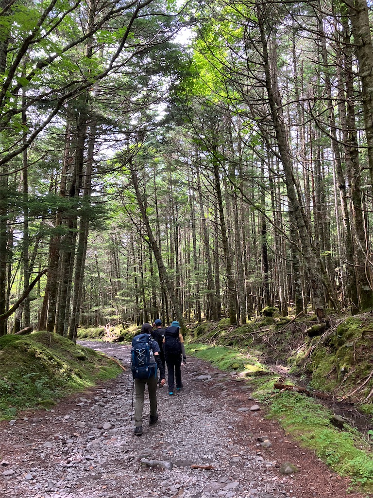 f:id:amefuri5kumanoko:20240807084742j:image