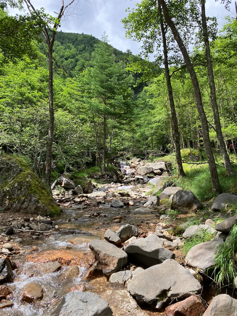 f:id:amefuri5kumanoko:20240807084747j:image