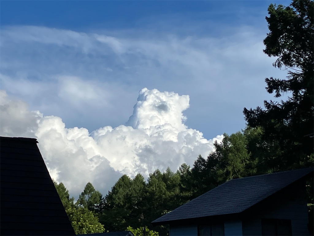 f:id:amefuri5kumanoko:20240824064348j:image