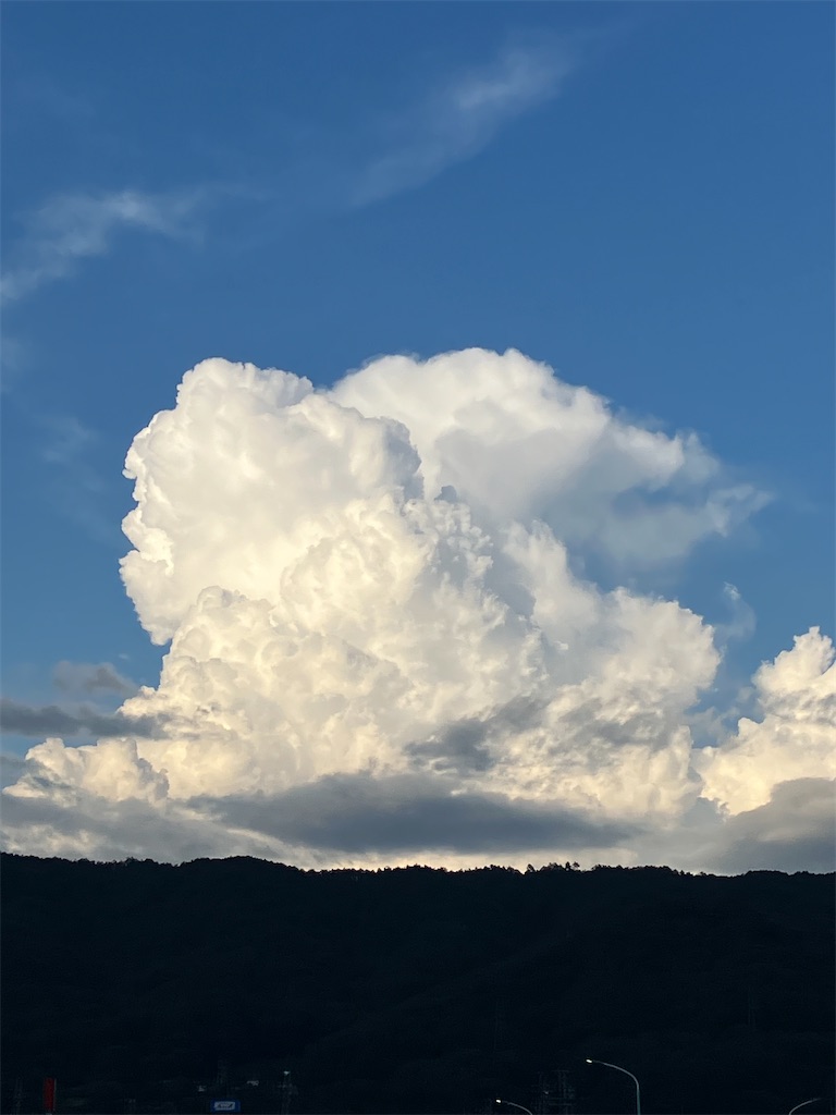 f:id:amefuri5kumanoko:20240824064401j:image