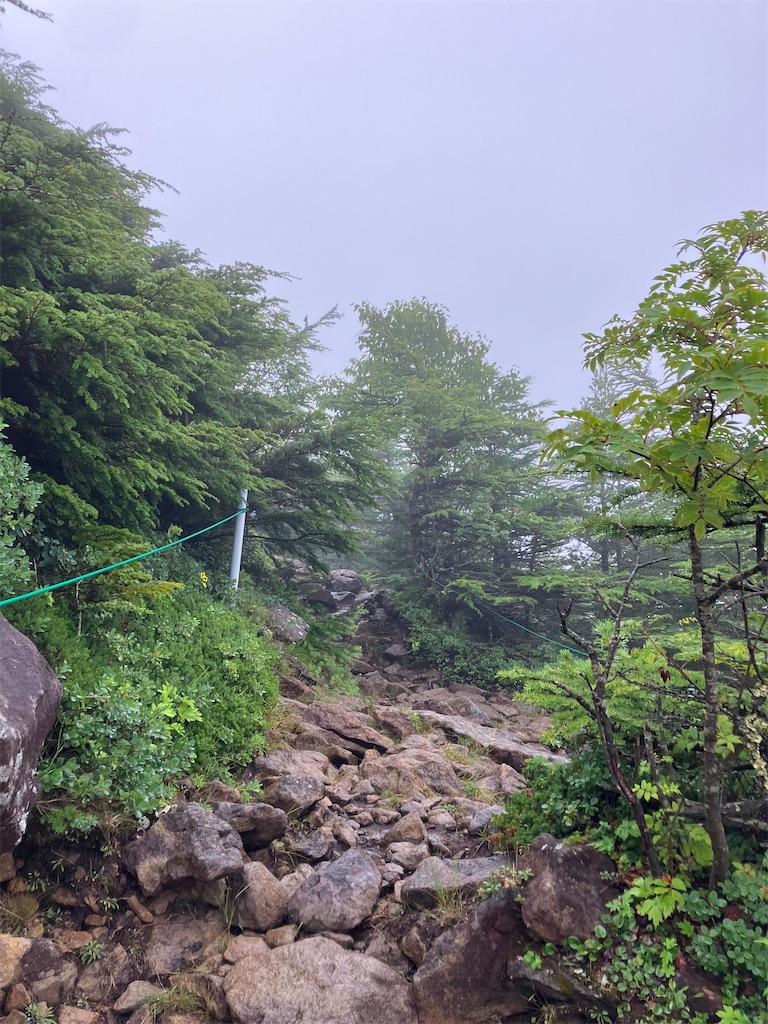 f:id:amefuri5kumanoko:20240824064406j:image