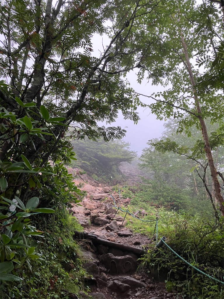 f:id:amefuri5kumanoko:20240824064409j:image