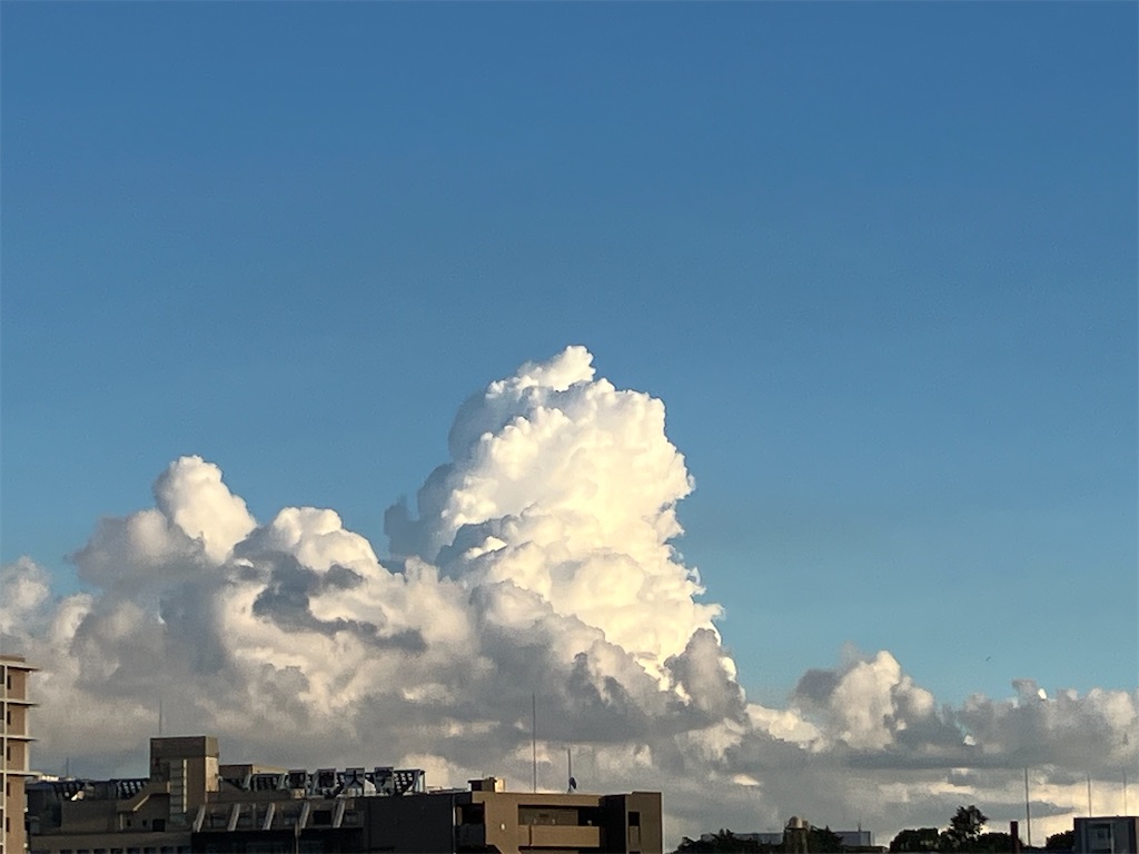 f:id:amefuri5kumanoko:20240916073038j:image