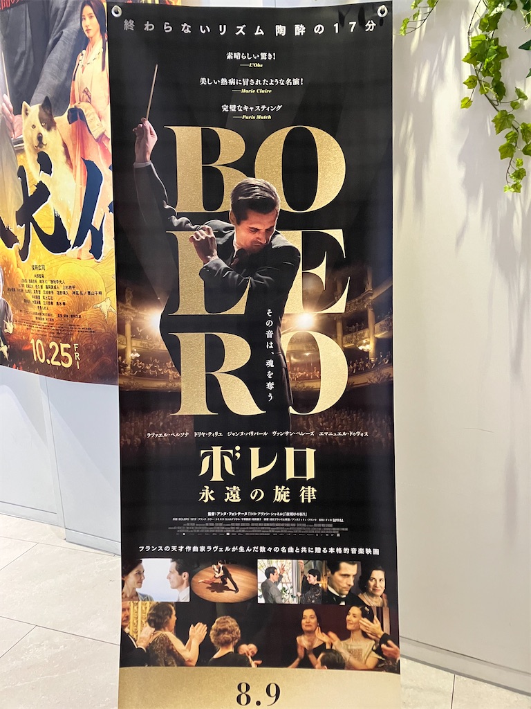 f:id:amefuri5kumanoko:20240916073100j:image