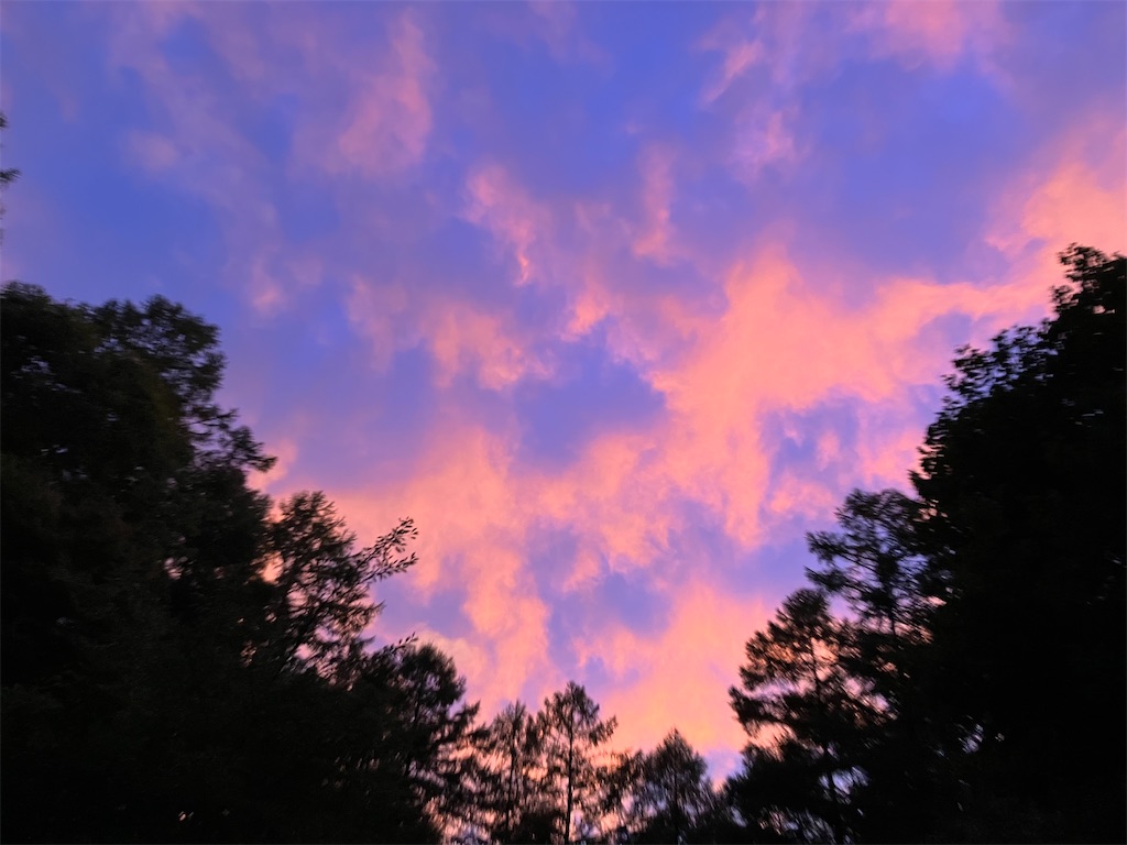 f:id:amefuri5kumanoko:20240919120459j:image