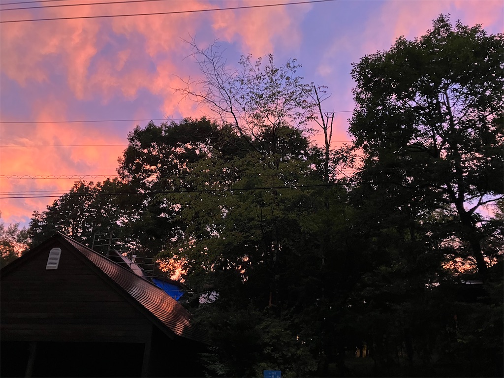 f:id:amefuri5kumanoko:20240919120514j:image