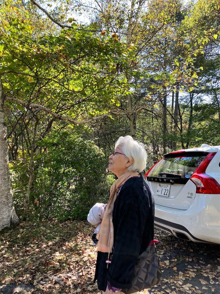 f:id:amefuri5kumanoko:20241030230822j:image f:id:amefuri5kumanoko:20241030230822j:image