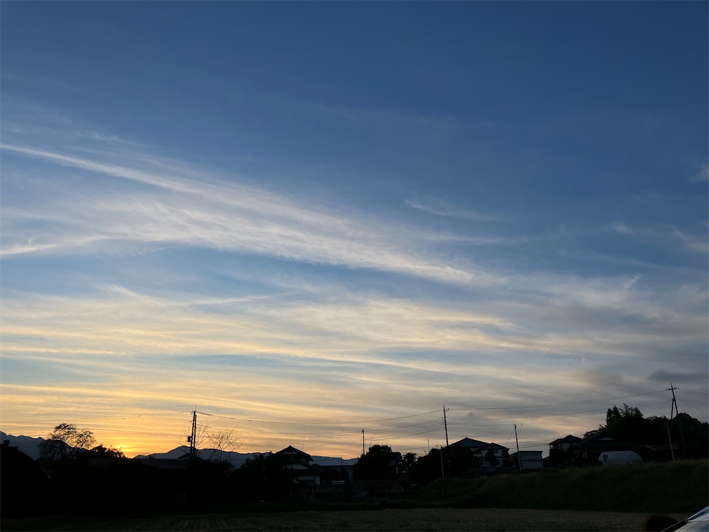 f:id:amefuri5kumanoko:20241030230853j:image f:id:amefuri5kumanoko:20241030230853j:image