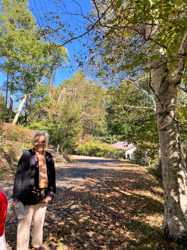 f:id:amefuri5kumanoko:20241030230908j:image f:id:amefuri5kumanoko:20241030230908j:image