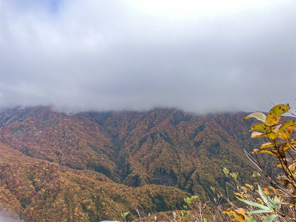 f:id:amefuri5kumanoko:20241030233239j:image