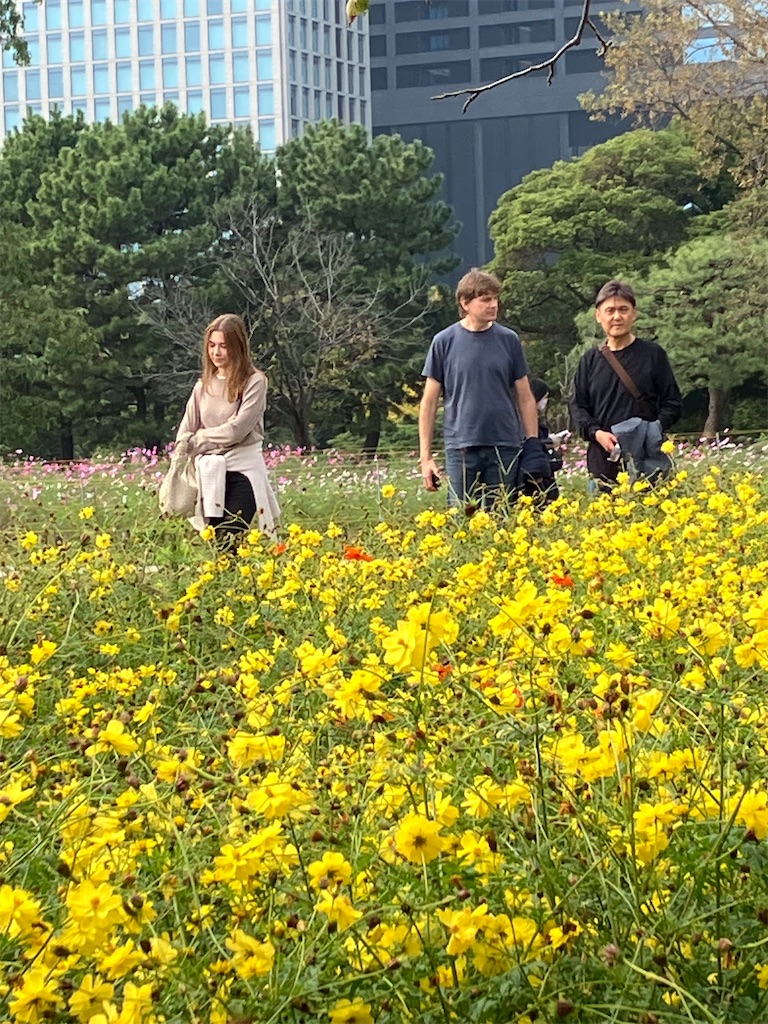 f:id:amefuri5kumanoko:20241113100327j:image