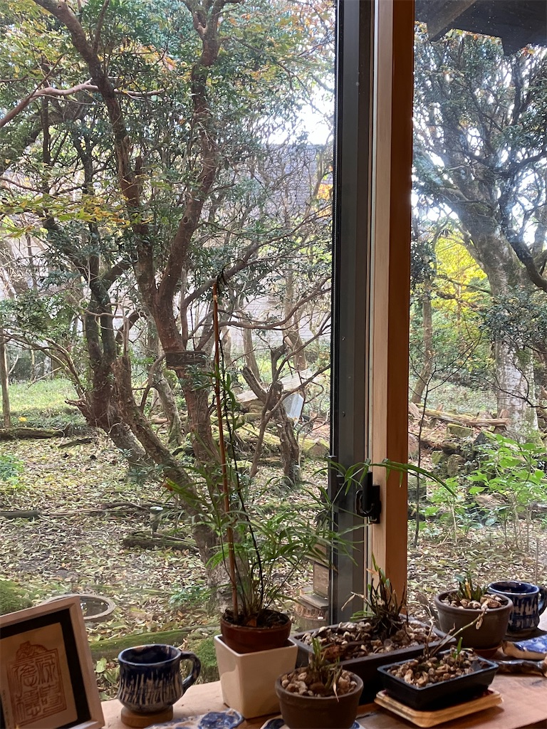 f:id:amefuri5kumanoko:20241203000616j:image f:id:amefuri5kumanoko:20241203000616j:image