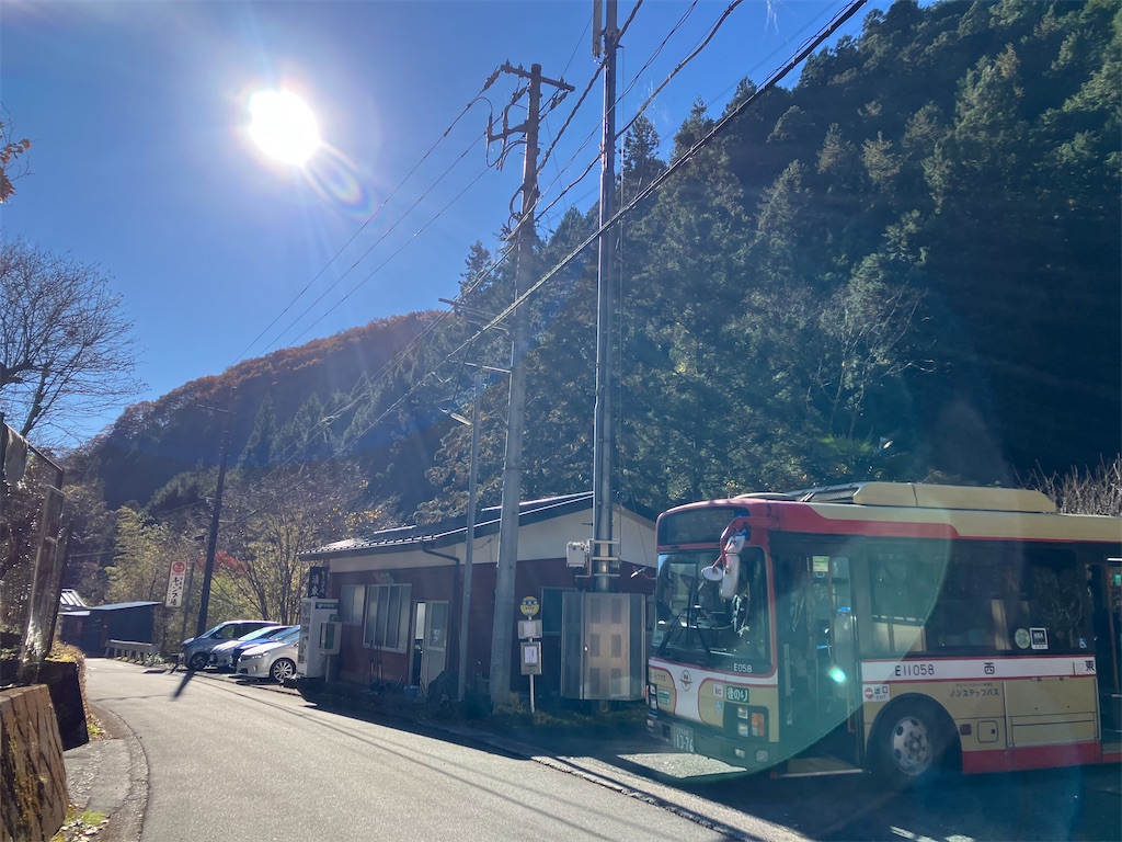 f:id:amefuri5kumanoko:20241203003817j:image