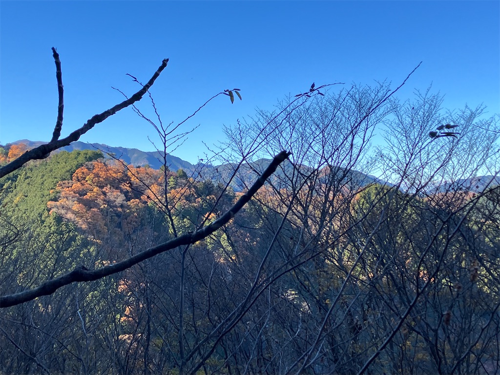 f:id:amefuri5kumanoko:20241203003915j:image