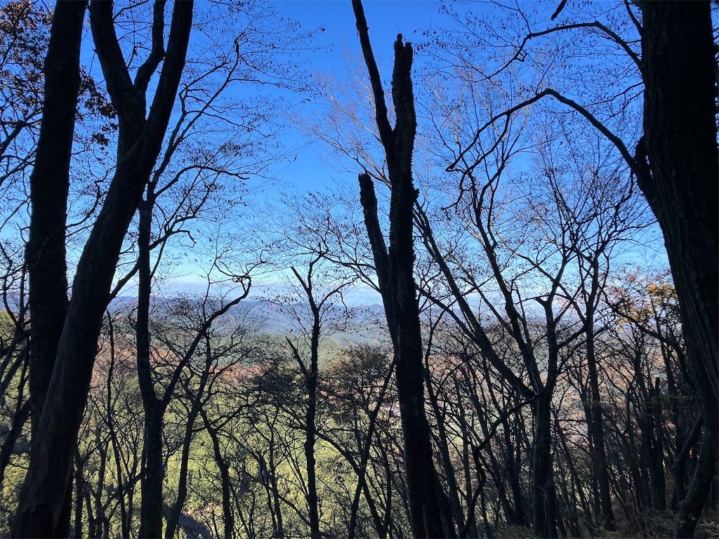 f:id:amefuri5kumanoko:20241203004006j:image