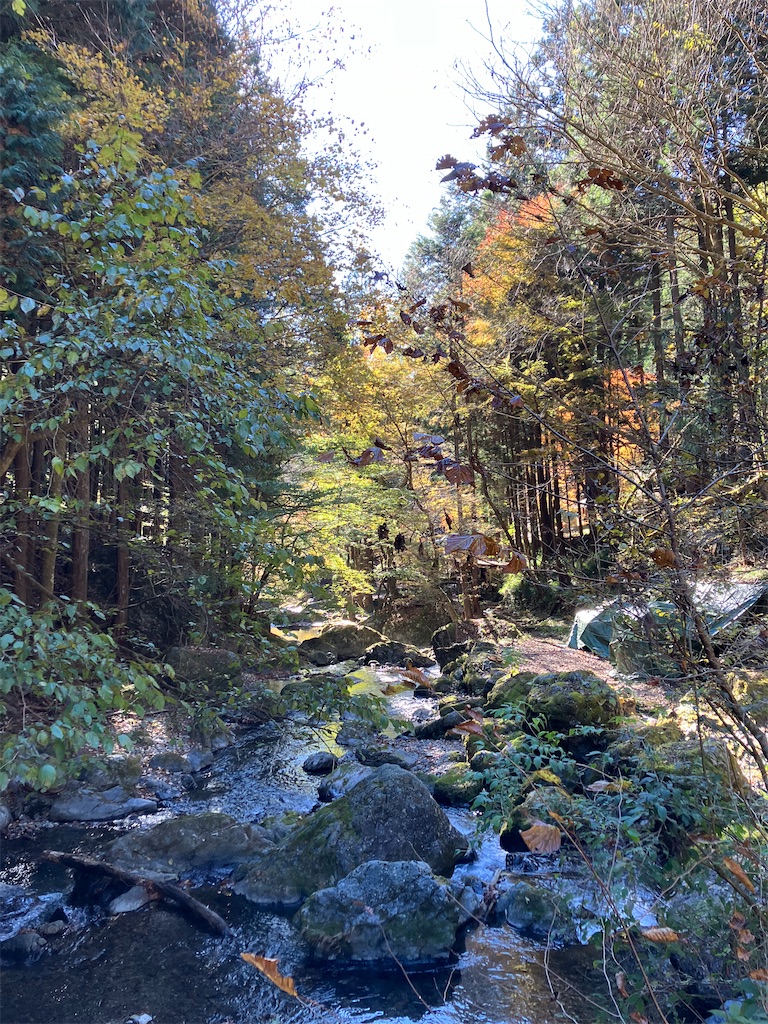 f:id:amefuri5kumanoko:20241203004016j:image