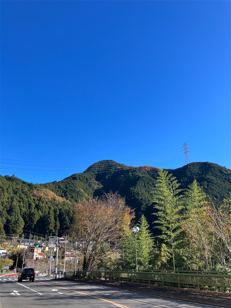 f:id:amefuri5kumanoko:20241203004110j:image