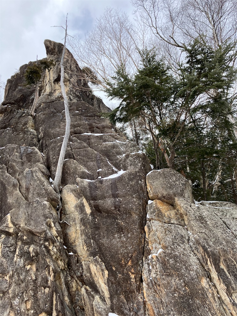 f:id:amefuri5kumanoko:20250210120152j:image