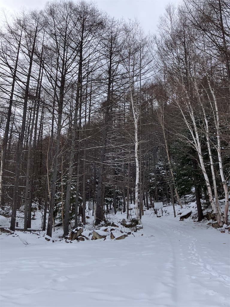 f:id:amefuri5kumanoko:20250210120156j:image