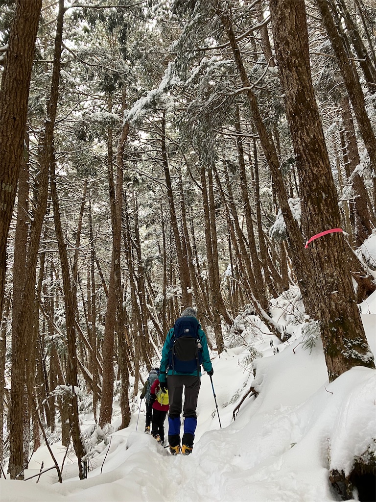 f:id:amefuri5kumanoko:20250210120244j:image