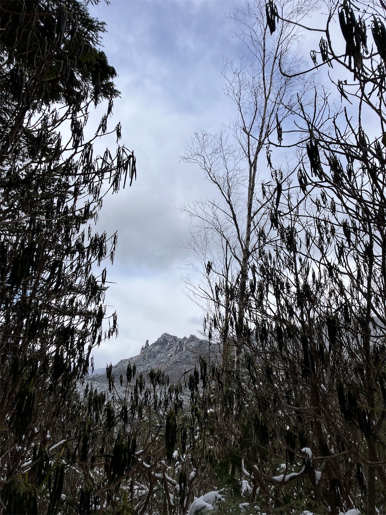 f:id:amefuri5kumanoko:20250210120315j:image