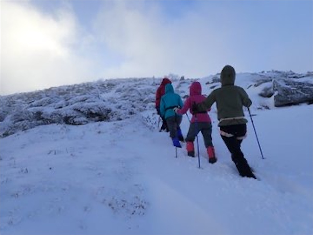 f:id:amefuri5kumanoko:20250211202341j:image