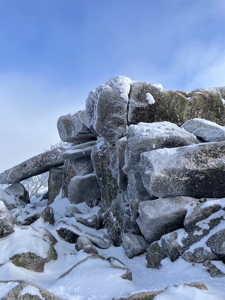 f:id:amefuri5kumanoko:20250211202449j:image