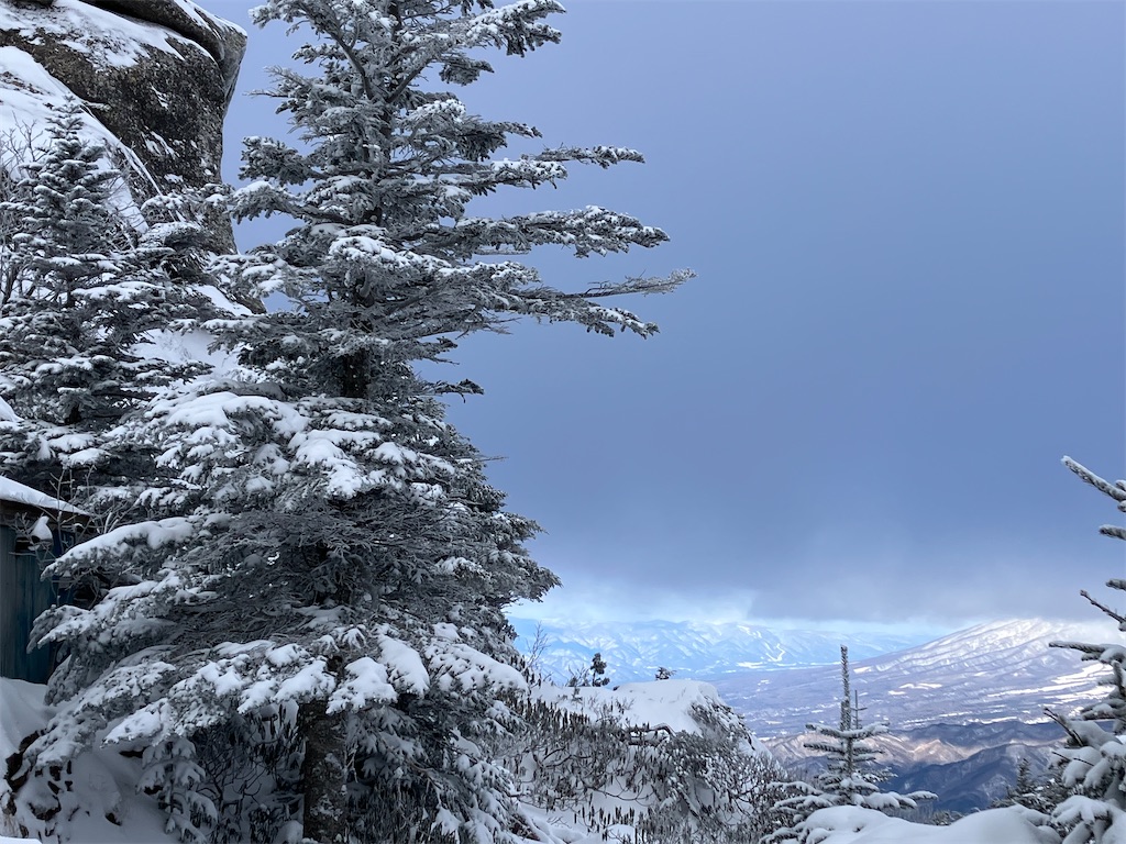 f:id:amefuri5kumanoko:20250211202456j:image