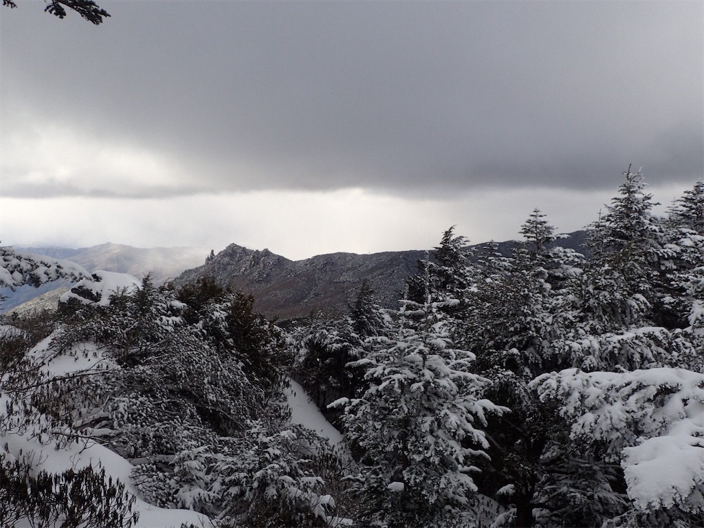 f:id:amefuri5kumanoko:20250211202503j:image