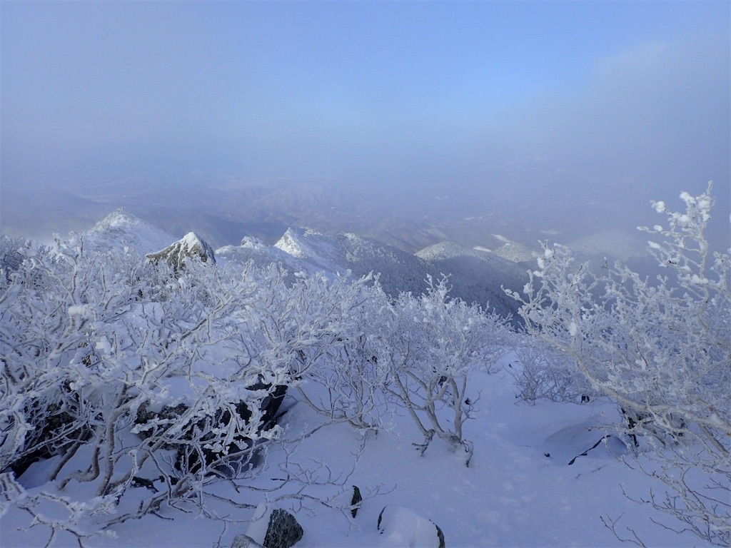 f:id:amefuri5kumanoko:20250211202514j:image