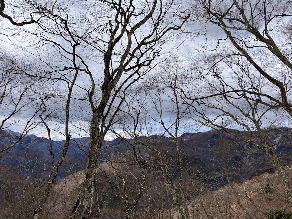 f:id:amefuri5kumanoko:20250329205903j:image