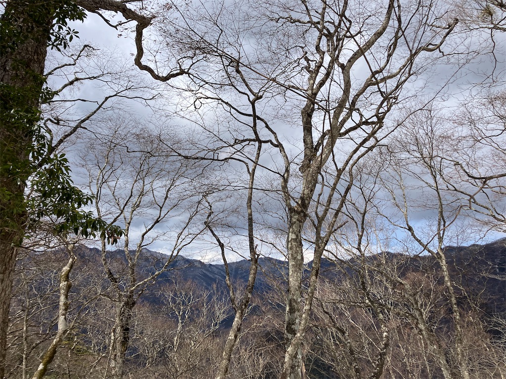 f:id:amefuri5kumanoko:20250329205952j:image