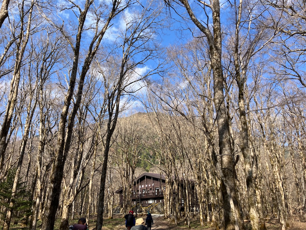 f:id:amefuri5kumanoko:20250511151922j:image
