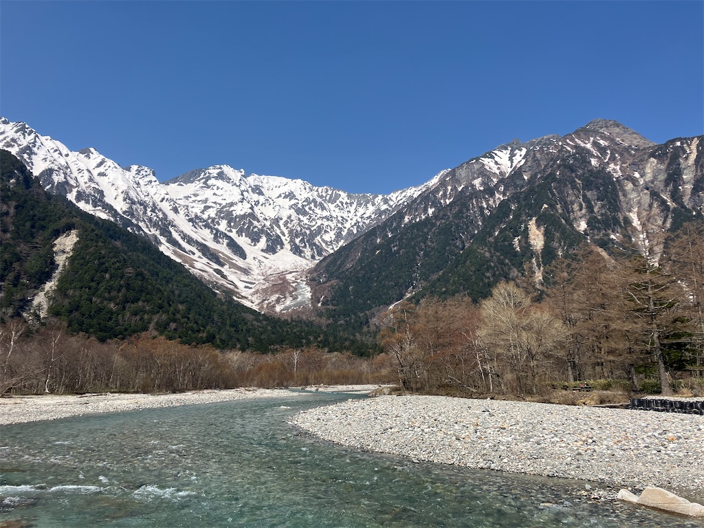 f:id:amefuri5kumanoko:20250511151927j:image