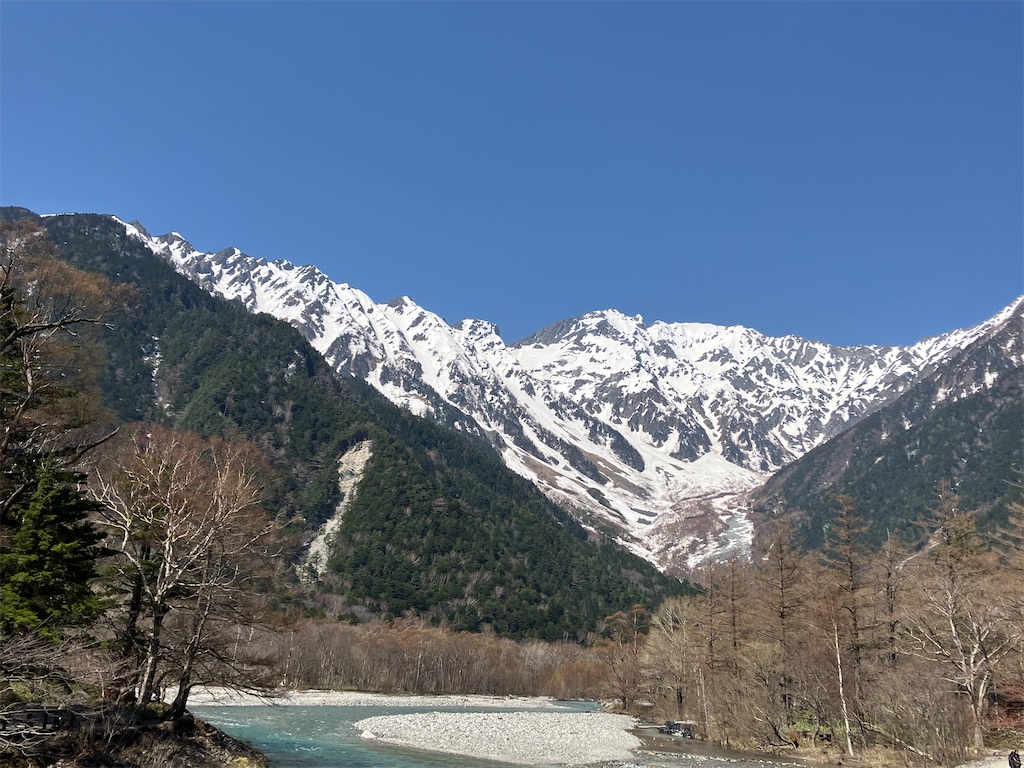 f:id:amefuri5kumanoko:20250511152045j:image