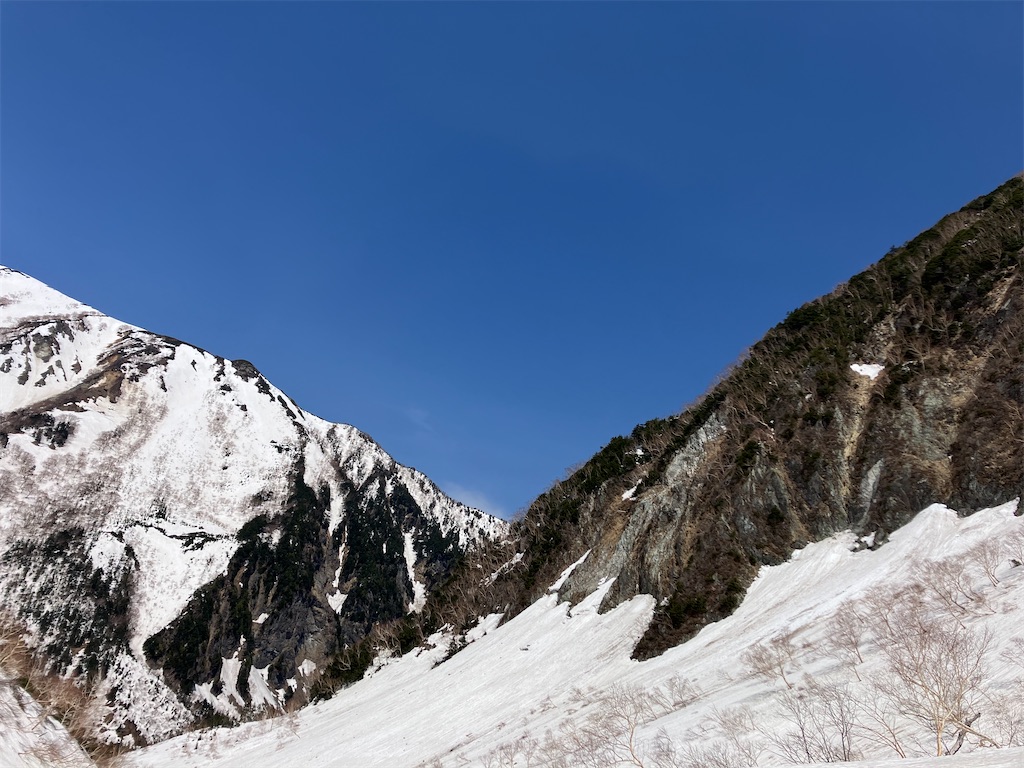 f:id:amefuri5kumanoko:20250511152423j:image