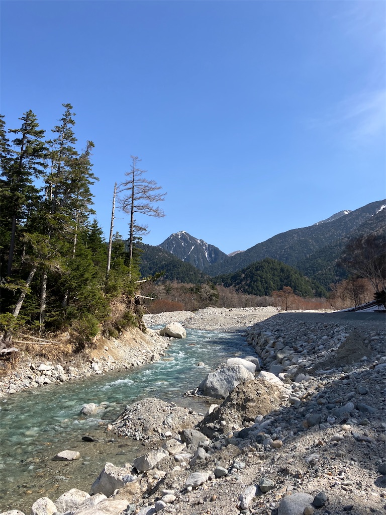 f:id:amefuri5kumanoko:20250511152429j:image