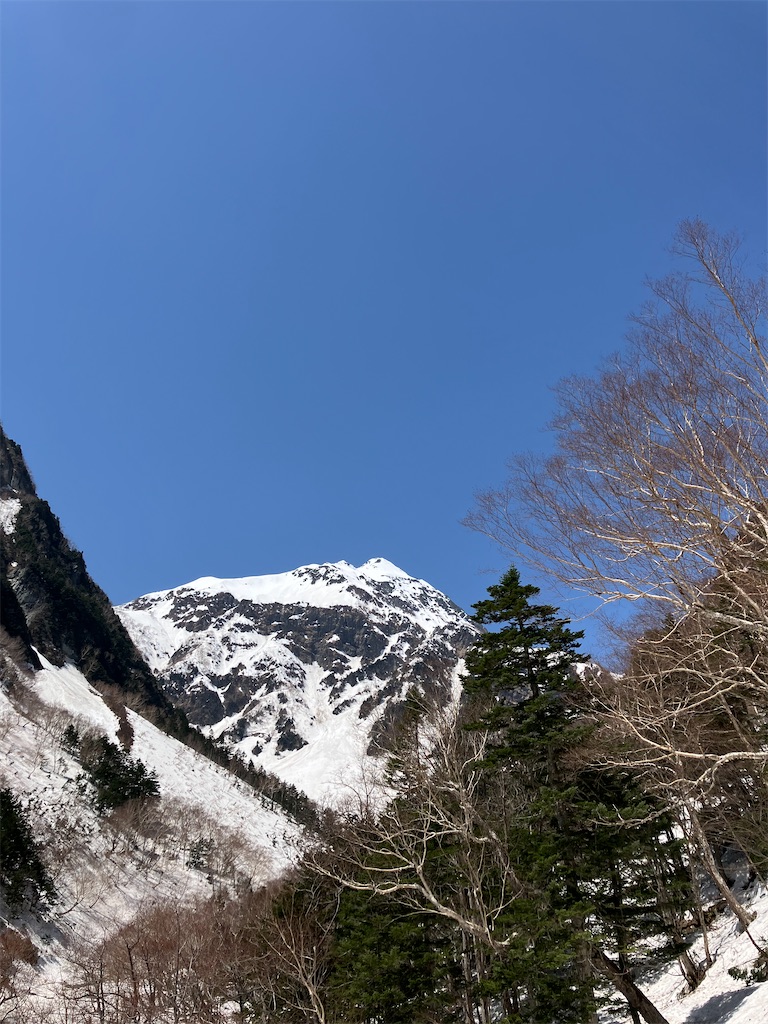 f:id:amefuri5kumanoko:20250511152523j:image